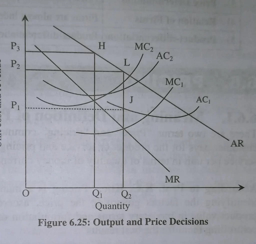Output and Price Decisions