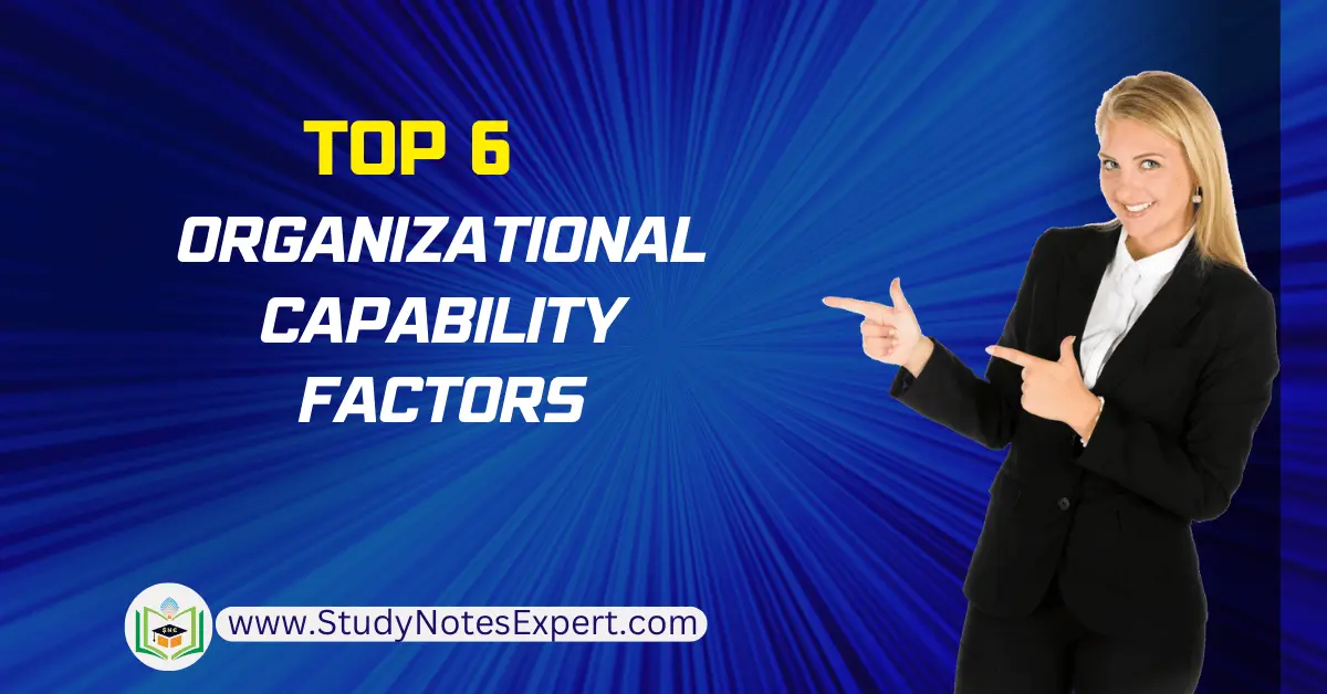 Organizational Capability Factors