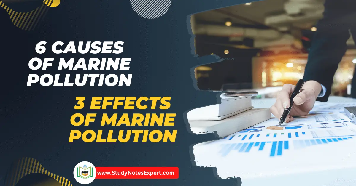 causes and Effects of Marine Pollution