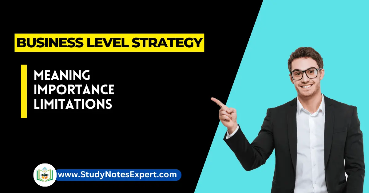 Business Level Strategy: Meaning | Importance | Limitations