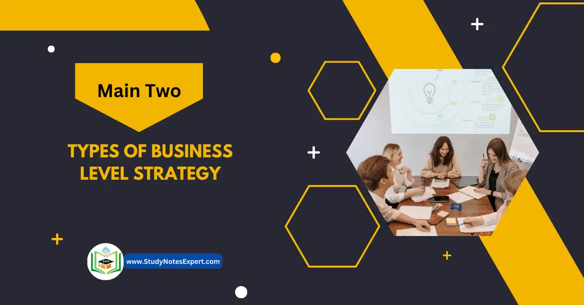 Types of Business level strategy