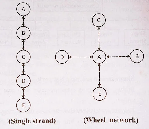 single strand and wheel network