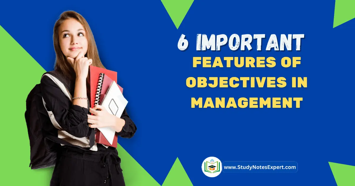 6 Important Features of Objectives in Management