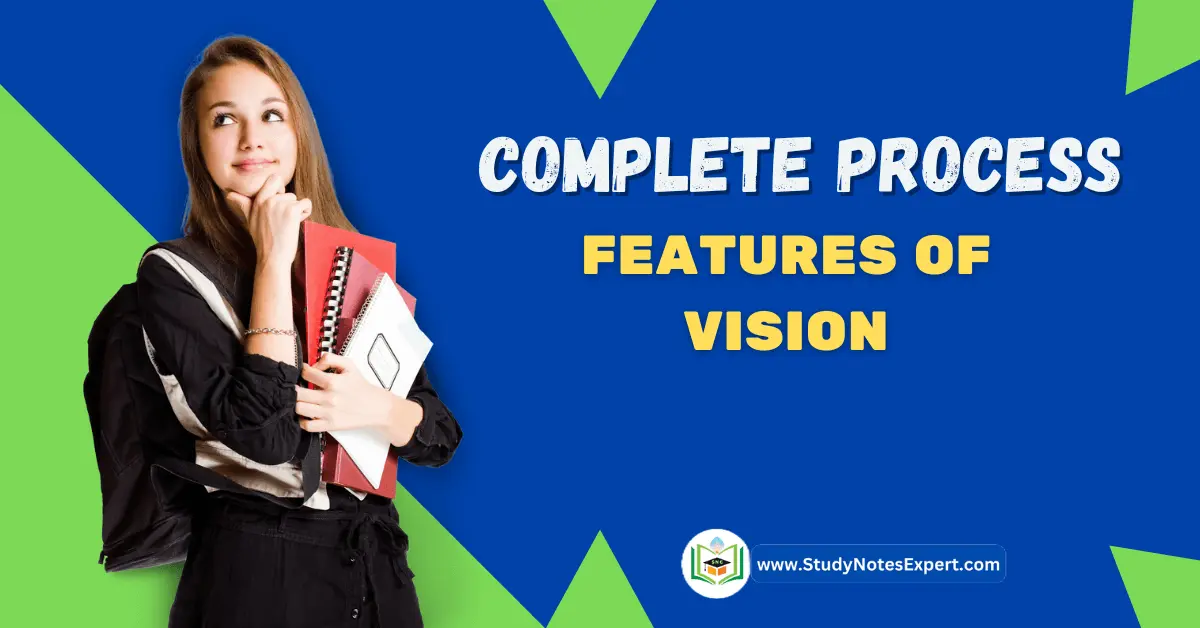 Complete Process | 4 Features of Vision