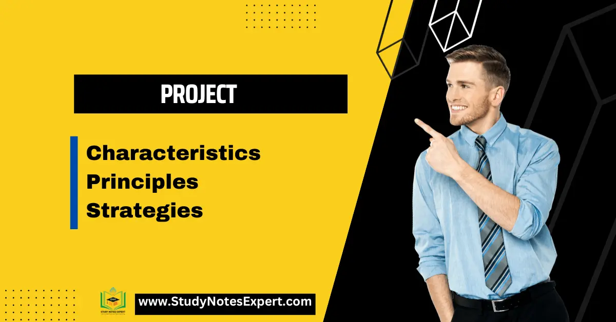 Project [5 Characteristics, Key Principles & Project Strategies]